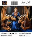 Картина по номерам 40x50см Девушка с драконом Q6142 (сложность***)