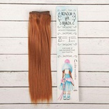 Волосы - тресс для кукол "Прямые" длина волос 25 см, ширина 100 см, цвет № 30 2294898   