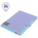 Папка на кнопке 5 отделений A4 непрозрачная сиреневая, 600 мкм, Berlingo "Haze", софт-тач [XF4_05924]