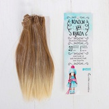 Волосы - тресс для кукол "Прямые" длина волос 20 см, ширина 100 см, №LSA051 3588478