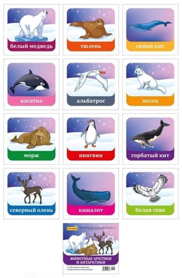 Обучающие карточки Животные Арктики и Антарктики 12шт. Миленд,  [5-14-0242]