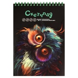 Альбом для рисования (Скетчпад) 40л. А5 (140х200мм) на гребне Удивленная совая, блок - белый офсет 100 г/м2, обложка выборочный Уф-лак, 68507
