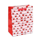 Пакет подарочный ламинированный 18*23*10см Красные сердечки (КС-0155)