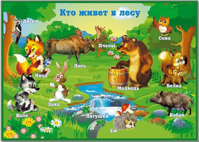 Плакат Кто живет в лесу 490х690,  [31377]