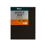 Холст грунт акриловый на подрамнике Pinax (черный) 20х30см, 100% хлопок, 380 г/м мелкое зерно, 25.2030BG