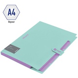 Папка на кнопке 5 отделений A4 непрозрачная мятная, 600 мкм, Berlingo "Haze", софт-тач [XF4_05922]