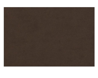 Бумага для пастели LANA COLOURS 21 х 29,7см, 160г/м2, мокко [15723124]