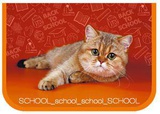 Пенал 1 отделение ПКТ 07-20 School cat с откидной планкой (ткань), 190х130мм [56965]
