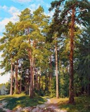 Картина по номерам 40х50см Высокие деревья (худ. Басов С.) VA-3278 (сложность ****)
