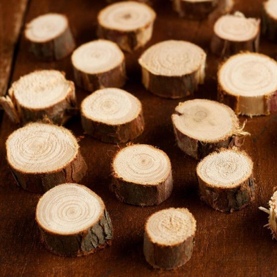 Деревянная заготовка (дерево) Набор спилов можжевельника, 1-2 см, 20шт. 4461428
