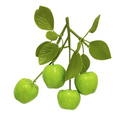 Декоративный эл. Астра Яблочки зеленые на ветке 13х8см [XLР1673]