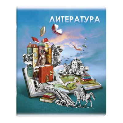Тетрадь предметная 48л, линия, Книга знаний. Литература, со справочным материалом, выборочный ТВИН УФ-лак, 60501