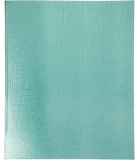 Тетрадь бумвинил А5 48л., линия, офсет 60 г/м2, белизна 100% , с полями (цвет: METALLIC мятный) 48Т5бвВ2