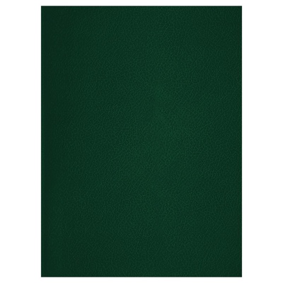 Тетрадь бумвинил А4 48л., клетка, офсет, зеленый [Т4бв48к_12322]