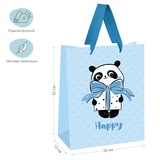 Пакет подарочный ламинированный, 26*32*12см MESHU "PandaGift_Blue", отд. фольгой, матовая ламинация MS_45832