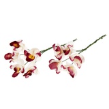 Букетик декор для творчества Орхидеи 2 букетика по 5 цветоч. (02 белый/бордовый) SCB290502