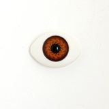 Глаза круглые выпуклые №12 23мм коричневый 10шт. 20126