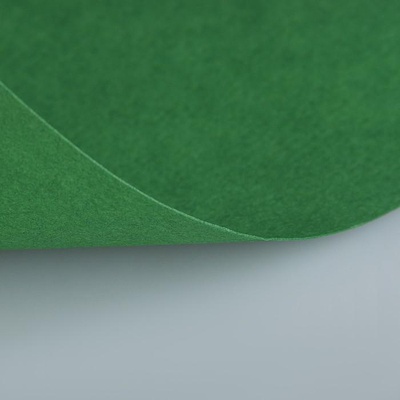 Бумага для пастели LANA COLOURS 21 х 29,7см, 160г/м2, зеленый еловый [15723127]
