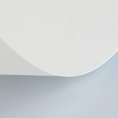 Бумага для пастели LANA COLOURS 70 х 100см, 160г/м2, белый  [15011561]