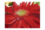 Канва/ткань (частичный бисер) 42х27,7см Красный цветок Gluriya (70206),  [685901]