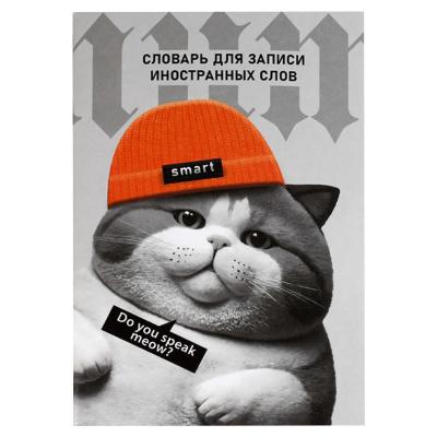 Тетрадь-словарь для записи иностранных слов 24л. А5 на скобе, "Кот в шапочке", мягкая обложка, мелованный картон, глянцевая ламинация, 69893